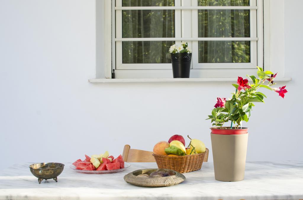 Garden House Palaio Faliro Athens Exterior photo